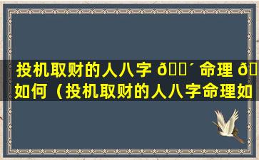 投机取财的人八字 🐴 命理 🐎 如何（投机取财的人八字命理如何看）